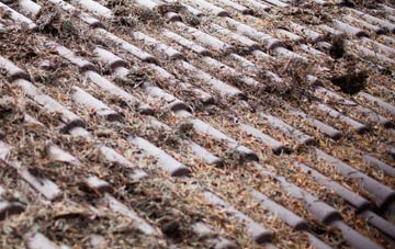 Airdens roof cleaning companies